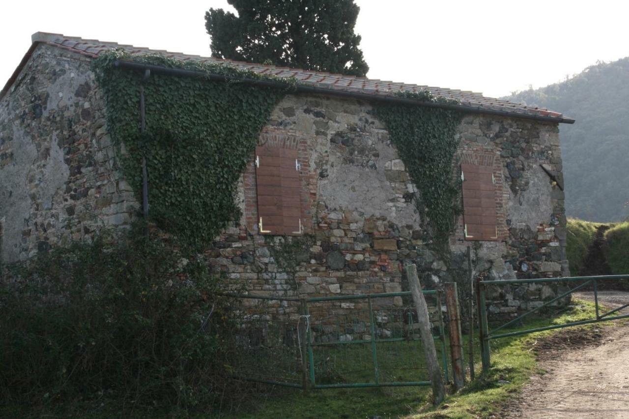 Farmhouse Tuscany Montecastelli Pisano Exterior photo